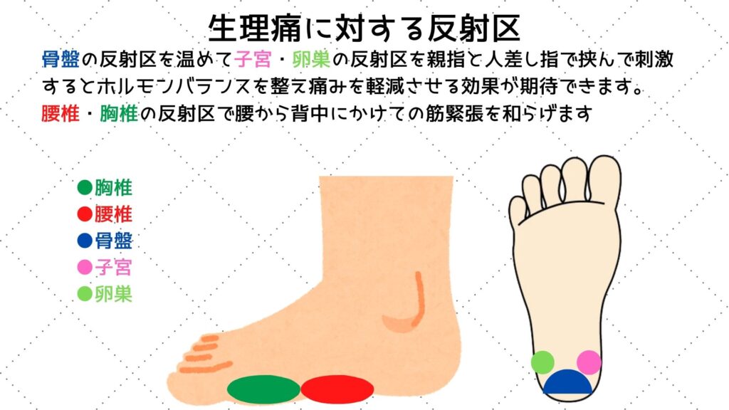 生理痛に対する反射区の図